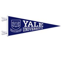 a blue and white pennant with the yale university seal on it's side