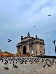 many birds are flying around in front of an old building