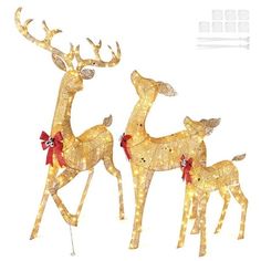 three lighted reindeers with bows on their heads are standing in front of a white background