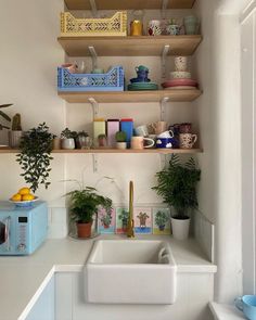 a kitchen with shelves filled with plants and dishes on top of them, next to a sink