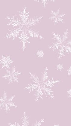 snow flakes on a pink background