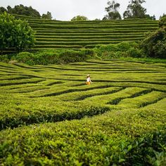 15 Adventurous Things You Can’t Miss in São Miguel, Azores - Made to Explore Black Sand Beaches, Natural Hot Springs, Old Churches, Black Sand Beach, Archipelago, Awe Inspiring, Hot Springs