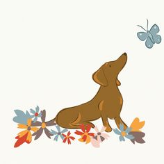 animated dachshund dog looking at butterfly image from linda fox design Stocking Filler, Small Gift