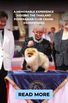 the dog is being judged at the pet show, and it's owners are looking on