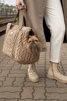 a woman carrying a bag with a small dog in it