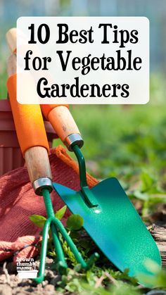 gardening tools in the dirt with text overlay that reads 10 best tips for vegetable gardeners