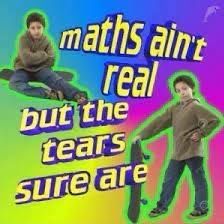 two children are playing with skateboards and text reads maths ain't real, but the tears sure are