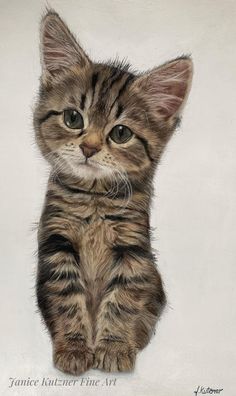 a drawing of a kitten sitting on its hind legs and looking at the camera with one eye open