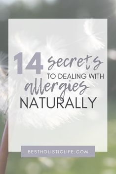 How To Get Rid Of Allergies Fast, Natural Allergy Remedies, Heal Allergies Naturally, Holistic Allergy Relief, Home Remedy For Allergies, How To Help Allergies, How To Stop Allergies, Natural Allergy Relief Remedies, Homeopathic Allergy Remedies