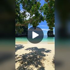 an image of a beach with trees and water in the background on a sunny day