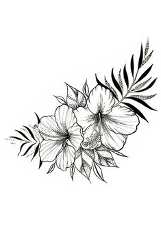 black and white drawing of flowers on a white background