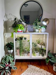 Milsbo Wide Corner Shelf - Maddwoods Ikea Milsbo, Wide Cabinet, Ikea Cabinet, Shelf Corner, Moss Pole, Style Shelf, Corner Plant, Indoor Greenhouse, Apartment Plants