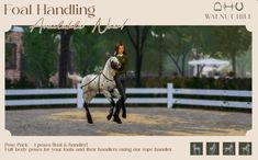 Sims 4 Equestrian Clothes, Sims 4 Stable Cc, Sims Horse Ranch, Sims 4 Horse Stable, Sims 4 Cc Horse Riding Clothes, Sims 4 Cc Animals