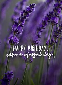 purple flowers with the words happy birthday have a blessed day