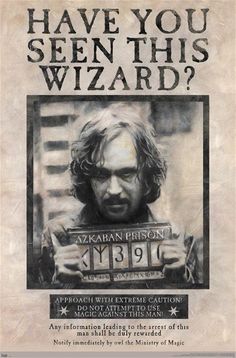 the wanted poster for harry potter's wizard movie, which was released in 1994