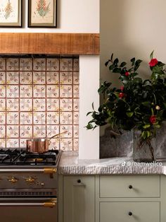 a potted plant sitting on top of a stove next to a wall mounted oven