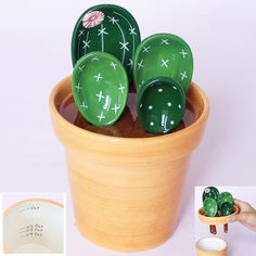 a potted plant with small green cactuses in it's center and white stars on the top