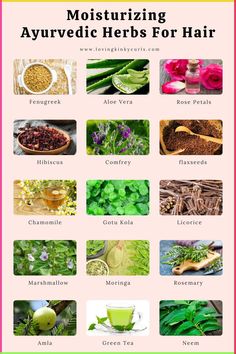 Are you tired of having damaged hair that looks unhealthy and unmanageable? Are you looking for ways to repair your hair and make it look beautiful and shiny? Try these natural treatments for a healthy hair #haircaretips, #haircare Fennel Seeds Benefits For Hair, Ayurvedic Herbs For Hair Growth, Exercise Belly, Eye Facts, Herbs For Hair