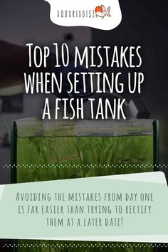 an aquarium with the words top 10 misstakes when setting up a fish tank