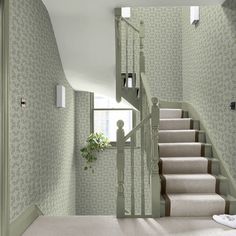 the stairs in this house are lined with beige carpet and green wallpaper, along with a potted plant