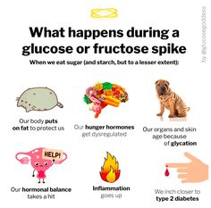 The Glucose Goddess Review - Are Her 7 Hacks Legit? Normal Glucose Levels, Glucose Goddess, Thyroid Healing, Glucose Levels, Weight Los, Healthy Clean Eating, Sugar Detox, How To Eat Less, Hormone Balancing