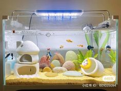 an aquarium filled with lots of different types of rocks and plants in front of it