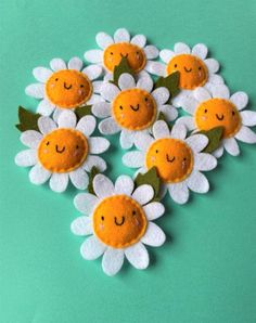 small white and yellow flowers with smiling faces on green background, closeup view from above