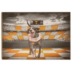 a dog is standing on a checkered floor in front of a football field with an orange and white ball