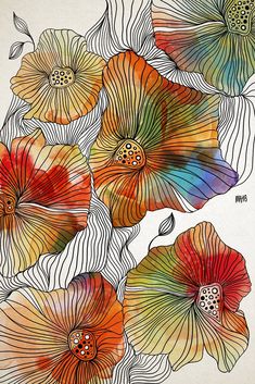 an image of flowers with different colors and patterns on the petals, as well as lines