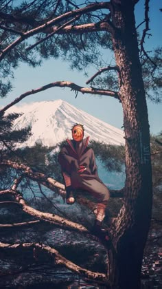 a man sitting on top of a tree in front of a snow covered mountain behind him