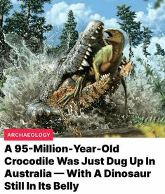 the cover of an article about crocodiles and other animals, with caption in english