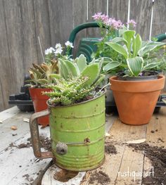 two potted plants sitting on top of a wooden table next to a watering can