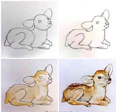 four different types of animals sitting next to each other