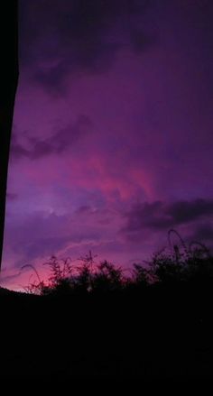 the sky is purple and pink as it sets in the distance with trees silhouetted