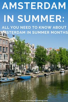 Photo of blue skies above a tree-lined canal in Amsterdam. The text on the image reads "Amsterdam in Summer: All you need to know about Amsterdam in summer months". Amsterdam In August, Outfits For Amsterdam Summer, Amsterdam Style Summer, Summer In Amsterdam Outfit, Summer Amsterdam Outfits, Amsterdam Summer Outfits, Amsterdam Fashion Summer