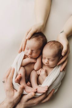 Studio newborn session with twin girls Twin New Born Baby Photoshoot, New Born Twins Baby Shoot, Twin Family Photoshoot Newborn, Twin Baby Photoshoot, Twins Photoshoot Ideas