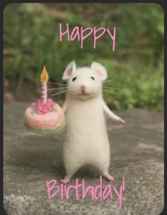 a white rat holding a pink birthday cake