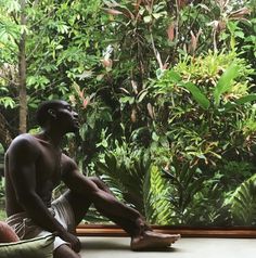 a man sitting on a window sill in front of a lush green tree filled forest