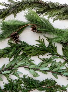 evergreen branches and pine cones are arranged on a white surface