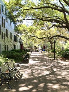 a park bench sitting on the side of a road next to a tall white building