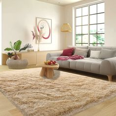 a living room filled with furniture and a large rug on top of a hard wood floor