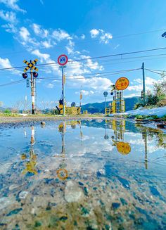 the reflection of traffic signs on the water is very clear in this photo, it's hard to tell if they are real