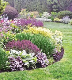 the garden is full of colorful flowers and greenery, along with purple and white plants