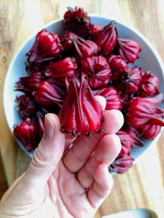 a person holding up some red flowers in a bowl