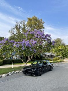 a black car parked in front of a tree with purple flowers