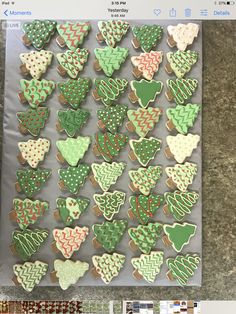 cookies decorated with green, red and white icing are displayed on a cookie sheet