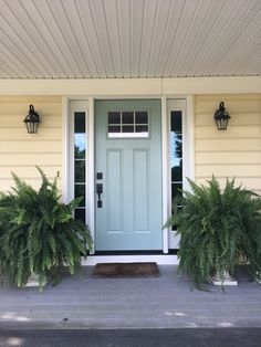 a blue front door with two planters on either side and one light green door