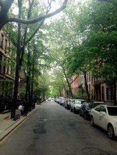 cars parked on the side of a street lined with trees