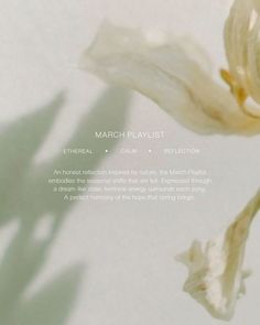 a white flower with the words march playlist on it's bottom right corner