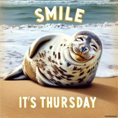 a seal laying on top of a sandy beach next to the ocean with text that reads smile it's thursday